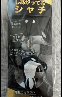 【新品未開封】さらに、しあがってるシャチ　須磨シーワールド　岩本照