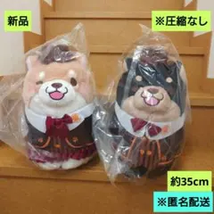 新品　忠犬もちしば　クラシカルBIGぬいぐるみ　ごま　さくら　匿名配送のサムネイル