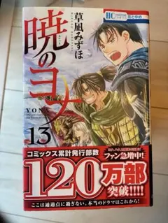 暁のヨナ 全巻セット 1-46巻 草凪みずほ - メルカリ