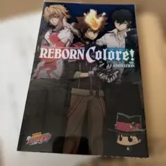 REBORN Coloré! ver. ANIMATION 公式ビジュアルブック - メルカリ