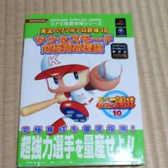実況パワフルプロ野球10サクセスモード究極育成理論
