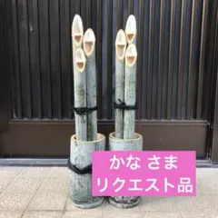 Item thumbnail for item 31a678c6-508f-48bb-91ef-3c751e4c9216