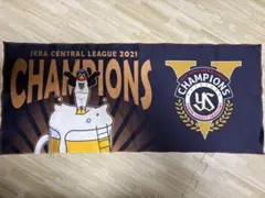 Item thumbnail for item a1dbd119-bc9e-45fa-9bbf-45604cec57dc