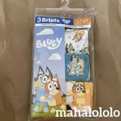 BLUEY ブリーフ 3枚セット 4T パンツ ブルーイ 海外限定