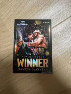 RIZIN ライコレ 朝倉未来vs ラジャブアリ・シェイドゥラエフ リアル