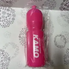 Item thumbnail for item d270326a-b281-428c-ae13-4bd01f75500e