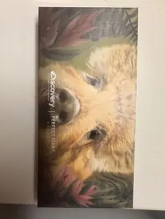 discovery PERFECT DIARY アイシャドウパレット