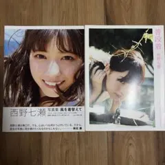 Item thumbnail for item 1bc85fa9-69dc-457d-ab8f-60e94de6538d