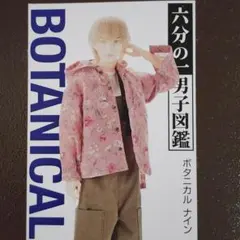 六分の一男子図鑑 ボタニカルナイン アウトフィットセット
