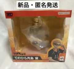 ハイキュー!! G.E.M.シリーズ てのひら月島 蛍 フィギュア 新品
