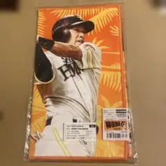 柳田悠岐選手　フェイスタオル 春季キャンプ