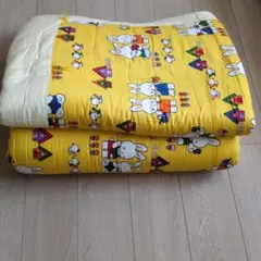 Item thumbnail for item 5b31649d-37eb-4e66-991c-9c5e299a1936