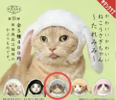 かわいいかわいいねこうさぎちゃん〜たれみみ〜　グレー