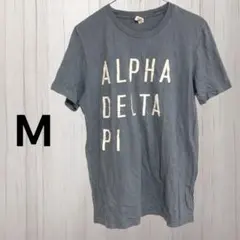 CANVAS ブルー Tシャツ 【Ꮇ】 半袖