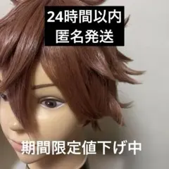 2026年最新】エーストラッポラ ウィッグの人気アイテム - メルカリ