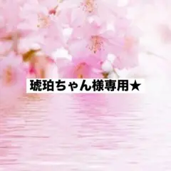 琥珀ちゃん様専用ページ♪