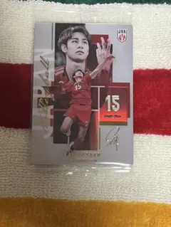 甲斐優斗 バレーボール 日本代表 トレーディングカード
