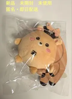 2026年最新】RIIZEソンチャン ドールの人気アイテム - メルカリ