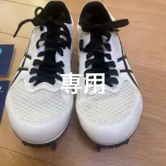 Item thumbnail for item ff51b8ce-4277-4f0d-9587-1b49679c0d29