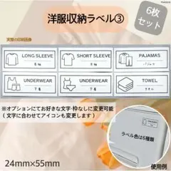洋服収納ラベル 6枚セット 収納整理 アイコン付き