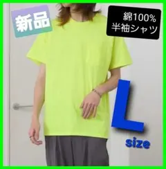 Item thumbnail for item 020d1e41-f0da-4c15-8c43-477667223f30