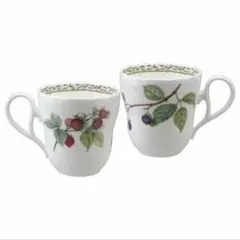 【新品未使用‼️】Noritake ロイヤルオーチャードマグセット 2個