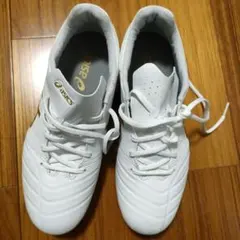 [アシックス] サッカースパイク DS LIGHT　25cm,wide