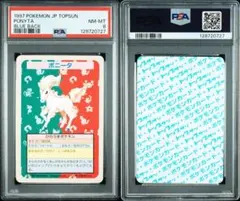 トップサン 番号無し ノーナンバー 裏青 カイリキー PSA8　世界24枚 コイキング トップサン 番号なし 裏青 初版 エラーカード 希少