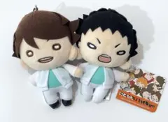 ハイキュー にとたん ぬいぐるみ 及川 岩泉 ハイキュー!! にとたん ぬいぐるみ ジャージ 青葉城西 及川 岩泉