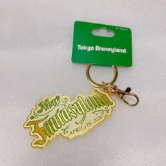 ディズニーランド ニューファンタジーランド キーチェーン - メルカリ
