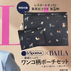 BAILA バイラ 2026年4月号 付録のみ