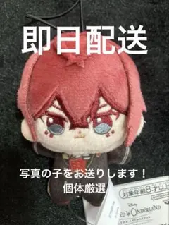 ま*)様 ツイステッドワンダーランド ほわぬい　寮長制服ver. リドル