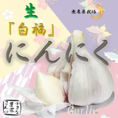 新にんにく 5kg！生にんにく ニンニク 大蒜 新鮮やさい - メルカリ