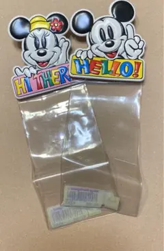 東京ディズニーランド　チケットホルダー２個