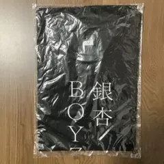 Item thumbnail for item 337f349c-a911-427a-9bec-652855da4751