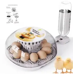 Item thumbnail for item 64c7dbb2-a896-4ce5-8867-99893510f7fe