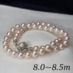 照り強&大珠✨️ あこや真珠 パール ネックレス 約8~8.5mm 本真珠