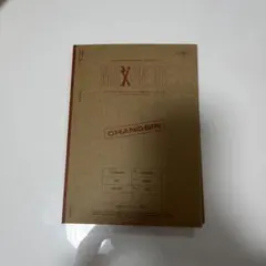 STRAY KIDS MAXIDENT CHANGBIN 仕様