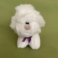 ジョイフルメイトTAKENOKO アライグマ白 - メルカリ