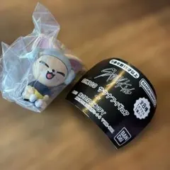 Stray kids SKZOOサウナフィギュア Foxl.Ny（フォクシニー）