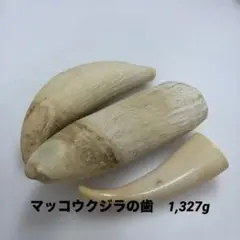 2026年最新】マッコウクジラの歯の人気アイテム - メルカリ