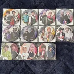 刀ミュ ペア缶バッジ 鶴丸 大倶利伽羅 石切丸 桑名 豊前 水心子 清麿 等