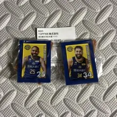 宇都宮ブレックス 選手ミニチュアアートイーゼル 2個セット