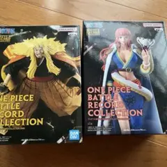 ワンピース バトルレコードコレクション 2体セット