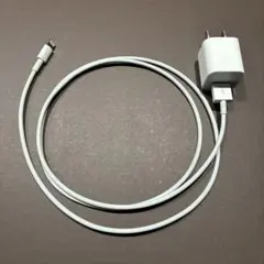 Apple純正　iPhone ライトニングケーブル（USB- A）+ アダプタ