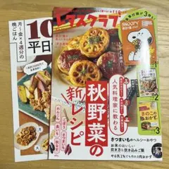 【家計簿なし】レタスクラブ 10・11月合併号 雑誌のみ