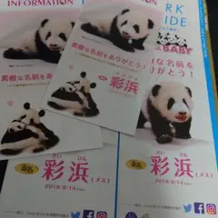 2026年最新】彩浜の人気アイテム - メルカリ