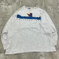 テ*モ様 USA製　シングルステッチ　スチームボート　長袖Tシャツ　古着　杢グレ