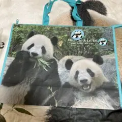 シャオシャオ レイレイ ブック型ボックス 上野動物園 - メルカリ