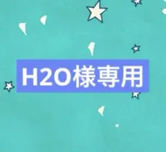 H2O様　専用